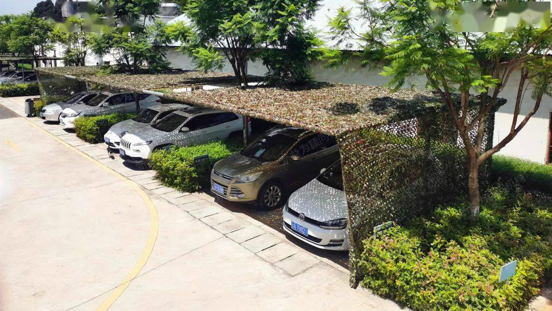 停車現(xiàn)場 停車現(xiàn)場